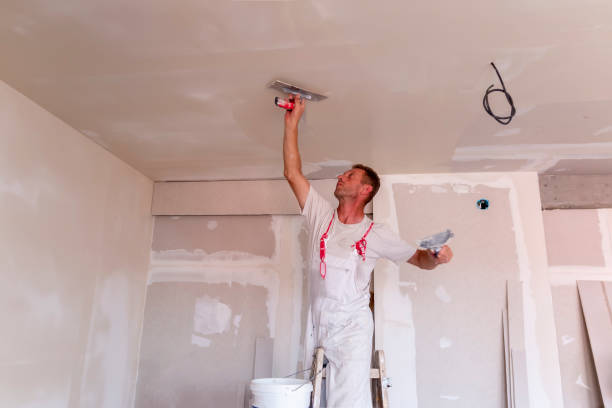 Best Drywall Crack Repair  in Norco, LA